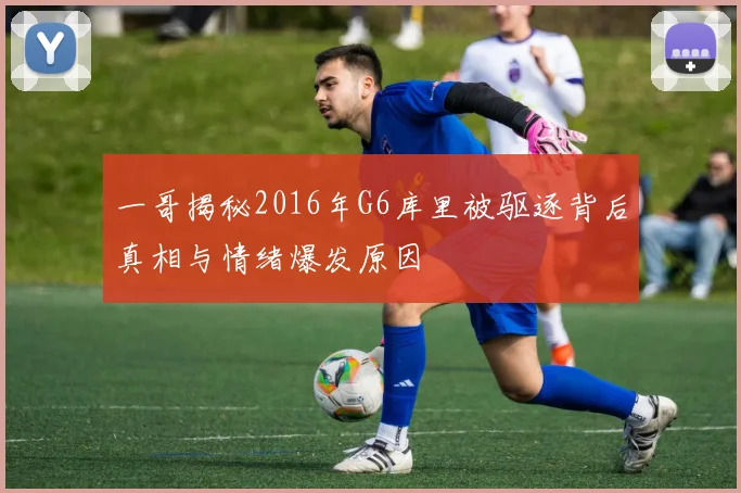 一哥揭秘2016年G6库里被驱逐背后真相与情绪爆发原因