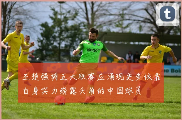 王楚强调五大联赛应涌现更多依靠自身实力崭露头角的中国球员